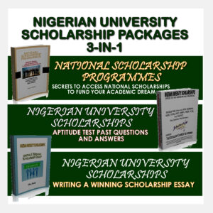 Nigerian University Scholarship Packages