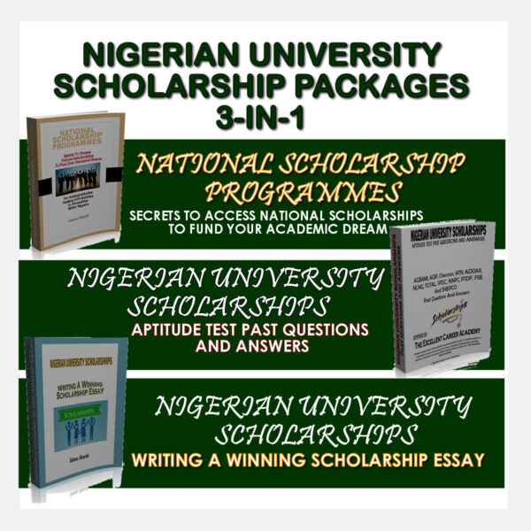 Nigerian University Scholarship Packages